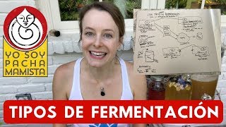 Tipos de FERMENTACIÓN de verduras y otros alimentos [upl. by Xanthe858]