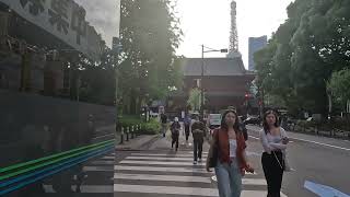 Tokyo Japn Walking Tour in Zojoji Temple [upl. by Noxas552]