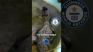 Discover Lolong  The MASSIVE Captive Croc shorts crocodile wild wildlife [upl. by Ecirtac]