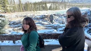 Magnificent Athabasca Falls tourism nature destination scenery loveit waterfall naturalbeauty [upl. by Hamer]