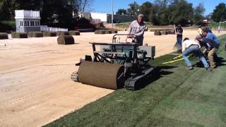 Big Roll Sod Installation [upl. by Stephens]