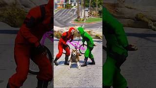 Spiderman saves husky  GTA V  shorts 73 [upl. by Enneyehc]