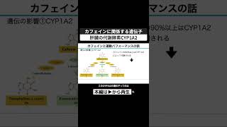 カフェインの代謝に関係する遺伝子CYP1A2によって効果は変わる？ 筋トレ カフェイン コーヒー サプリ サプリメント パフォーマンス向上 遺伝子 切り抜き shorts [upl. by Analahs]