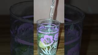 Lemon Mojito shortvideo like subscribe [upl. by Fitalludba250]