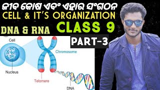 ଜୀବ କୋଷ ଏବଂ ଏହାର ସଂଗଠନ CELL AND ITS ORGANIZATION 9th Class Life Science In Odia  Part3 [upl. by Zelig]