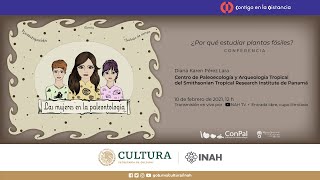 Ciclo de conferencias quotLas mujeres en la paleontologíaquot ¿Por qué estudiar plantas fósiles [upl. by Hubing]