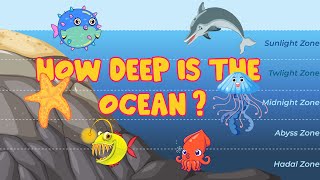 How Deep Is The Ocean  Sea Fishes amp Animals  Sea zones  For Kids [upl. by Sibby]