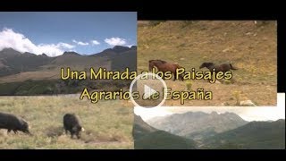 Una mirada a los paisajes agrarios de España 1911 [upl. by Becky617]