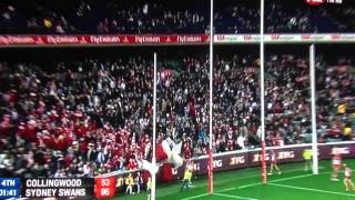 Adam Goodes calls out racist spectator [upl. by Jaco]