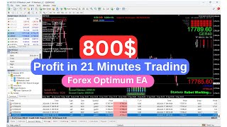 Forex Optimum EA Trading 800 Profit in just 21 Minutes  Best Scalping Robot forextrading [upl. by Rednasxela515]