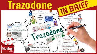 Trazodone  Desyrel  What is Trazodone Used For Dosage Side Effects amp Precautions [upl. by Guy81]