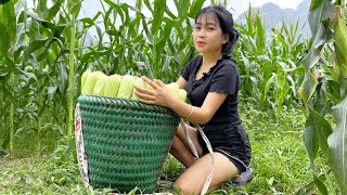 Harvest Baby Corn Goes To Market Sell  Boil Corn and Enjoy  Rural Mountain Life [upl. by Bernardine]