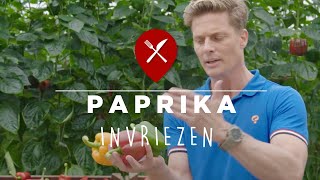 Paprika invriezen [upl. by Repip712]