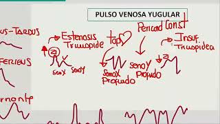 Cardiología  Semiología EKG [upl. by Yenot]