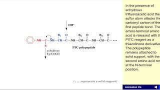 Edman degradation [upl. by Ardnaiek467]