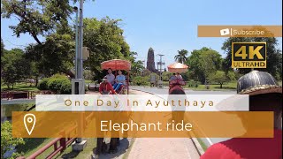 4K Elephant ride Ayutthaya Thailand big part of tourism industry [upl. by Sinaj]