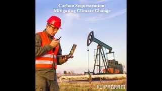 Carbon Sequestration Mitigating Climate Change Flipagram [upl. by Colon]