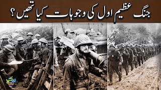 Complete History of the World War 1  Explained in HindiUrdu  Nuktaa [upl. by Xuagram]