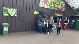 Shepreth Wildlife park Cambridgeshire Great family days out [upl. by Tima]