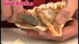 Comment ouvrir une coquille SaintJacques  Astuce Cuisine [upl. by Gernhard]