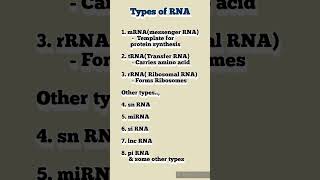 dailyshorts biochemistry rna biology medicalstudent pharmacy science proteinsynthesis gene [upl. by Ahsima]