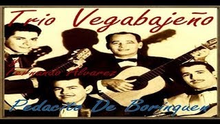 Trio Vegabajeño  El amor del jibarito [upl. by Arlinda]