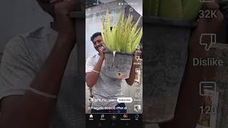 Kalamanda soda anta roi😰 viralvideo telugu trending kalabanda aloveravillagestyle sodafood [upl. by Suryt630]