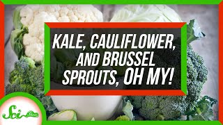 Kale Cauliflower and Brussels Sprouts Are the Same Species [upl. by Ycram]