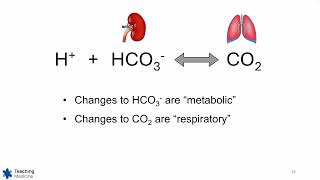 ABGs Made Easy Step 4 Metabolic or Respiratory [upl. by Anaitsirhc]