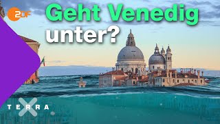 Warum Venedig versinkt  Terra X plus [upl. by Emina781]