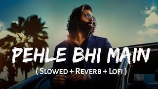 Pehle Bhi Main Slowed  Reverb  Vishal Mishra  Animal  Shukolofi [upl. by Benkley]