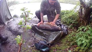 Think carp fishing lymm angling wrinehill [upl. by Rafaellle]