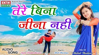 Shital Thakor  Tere Bina Jina Nahi  Hits Of Shital Thakor Hindi Songs  Ekta Sound [upl. by O'Connell]