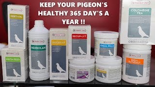 IMPORTED PIGEON PRODUCTS FOR PIGEON HEALTH  कबूतर के लिए हेल्थ प्रोडक्ट्स  8882859215 [upl. by Gene]