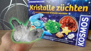 Kristalle selber züchten😳  Funktioniert das [upl. by Naarah]