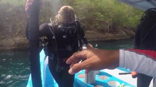 Funniest video award for best Divemaster Entry Scuba Center Asia Lembongan Bali [upl. by Sherrer762]