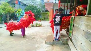 IMLEK TAHUN 2020 BENGKALIS BARONGSAI MASUK RUMAH [upl. by Rosario392]