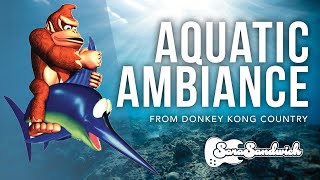 SaraSandwich  Aquatic Ambiance Cover from Donkey Kong Country [upl. by Trinette185]