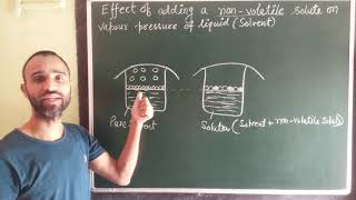 Effect of adding non volatile solute on vapour pressure of solution  solution  class 12 [upl. by Kirkpatrick403]