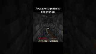 Average mining experience minecraft scliffler [upl. by Dietz]