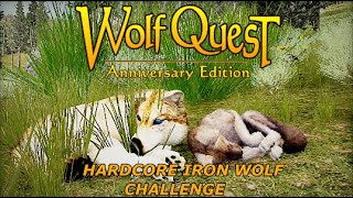 Trying the hardcore iron wolf challenge in wolfquest 3 [upl. by Nymassej]