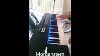 Rammstein some sounds and samples on keyboard PART1 [upl. by Adne58]