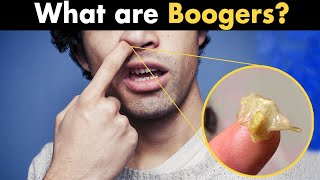 What are nose Boogers [upl. by Macario]