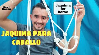 COMO hacer una JAQUIMA para CABALLO jaquima for horse [upl. by Saimerej]