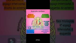 PUNTOS DE AUSCULTACIÓN CARDÍACA [upl. by Solley]