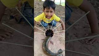 Survival Skills Amazing Fish🐟 trap outdoors fishing useful [upl. by Nosretep58]