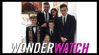 The Beckham Family’s Cutest Moments [upl. by Vanni]