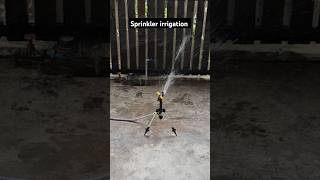 Sprinkler irrigation for agriculture sprinkler irrigation agriculture [upl. by Starobin26]