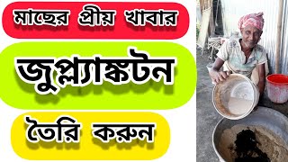 How to Grow Zooplankton in Fish Pond  Bangla [upl. by Assereht591]