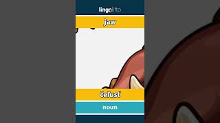 🇬🇧🇸🇰 jaw  čeľusť  vocabulary builder  learn English  naučme sa anglicky [upl. by Aropizt]